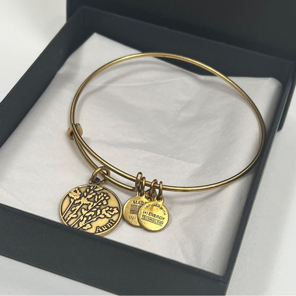 Alex and Ani Aunt Charm Bangle Bracelet Gold Tone Adjustable Retired With Box